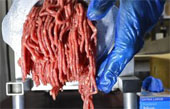 Pork DNA And Horsemeat Scandal