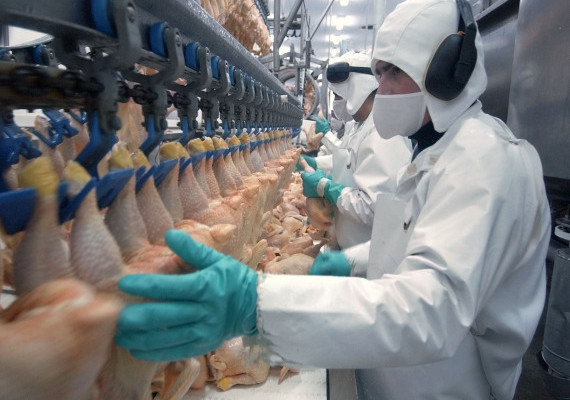 Monitoring Necessary For All Slaughterhouses & Butchers